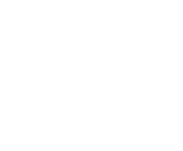 Evolution games at Bet Morph Casino